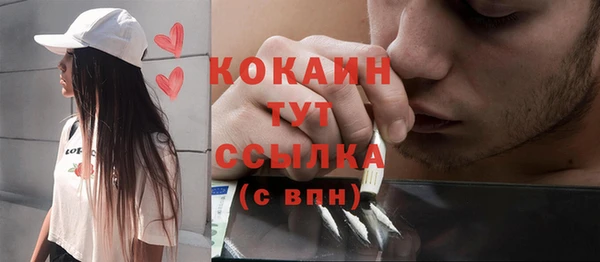 МДПВ Семилуки