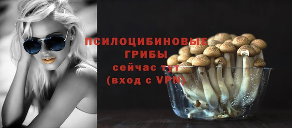 дживик Семикаракорск