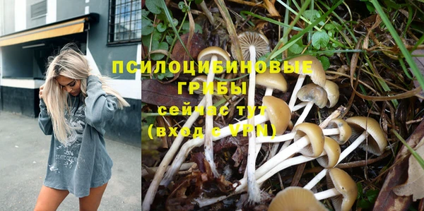 прущий лед Снежногорск