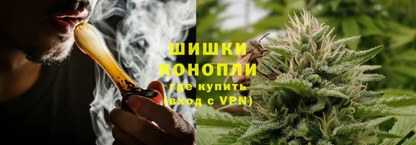 МДПВ Семилуки