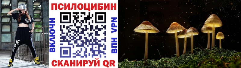 Псилоцибиновые грибы GOLDEN TEACHER  Купить  Наволоки 