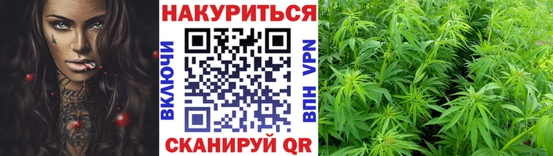 Купить где  Наволоки  Конопля White Widow 
